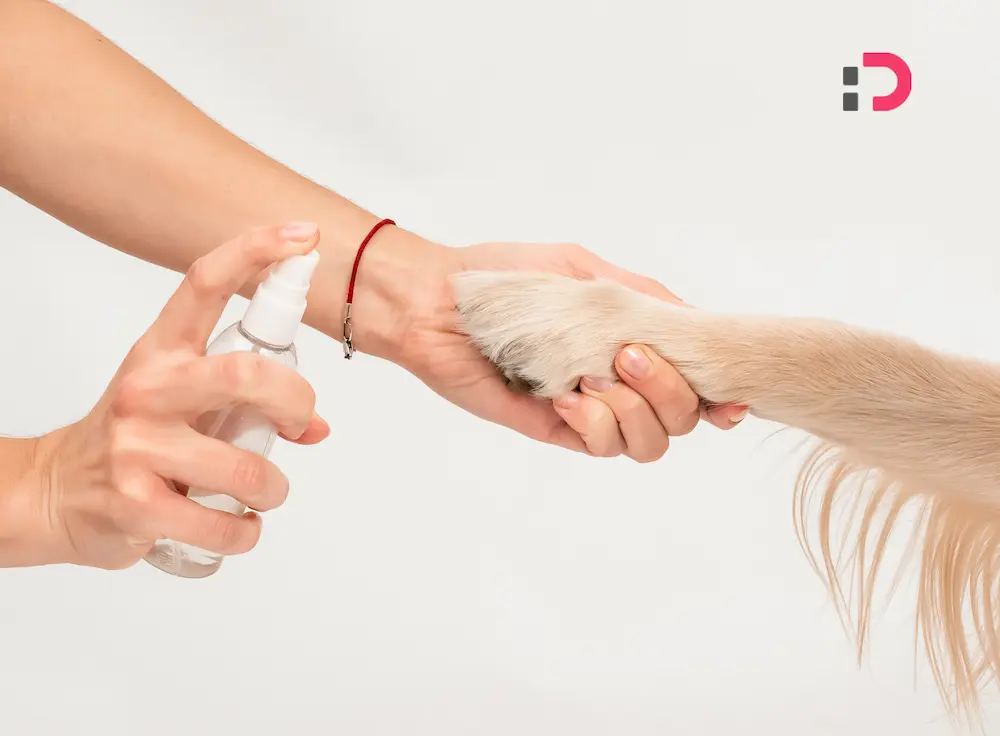 راهنمای انتخاب انواع اسپری ضدعفونی سگ | پت‌شاپ آنلاین پتدونی 1404